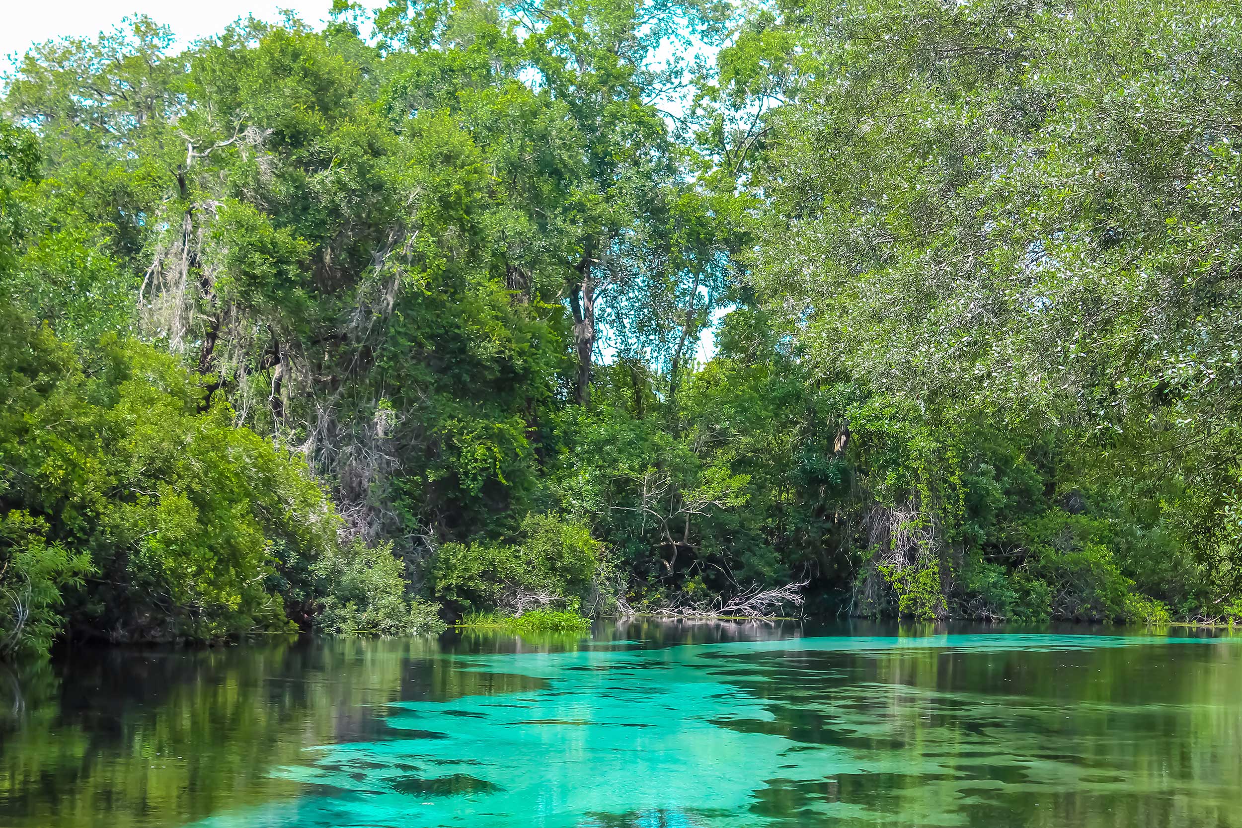 Weeki Wachee